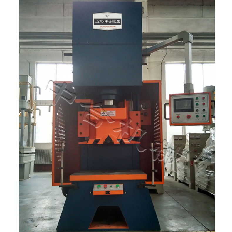 100吨柔性液压冲床