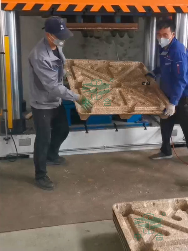 木屑托盘.jpg 木屑托盘.jpg